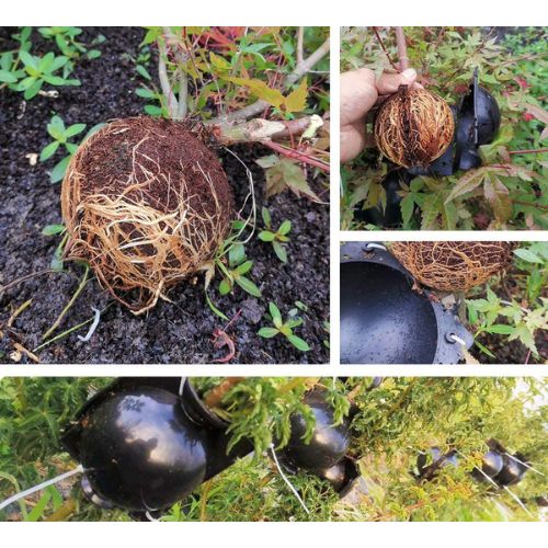 10x Plant Rooting Ball عشر كرات تجذير النباتات